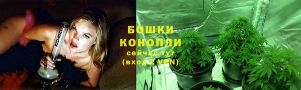 гидропоника Медногорск