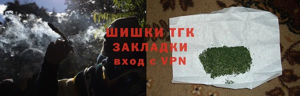 гидропоника Медногорск