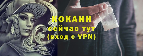 гидропоника Медногорск