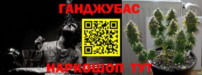 PSILOCYBIN Малоярославец