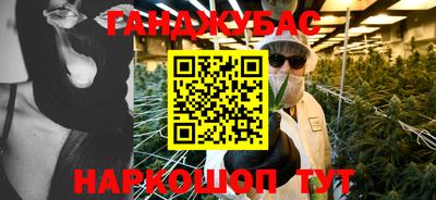 индика Бийск