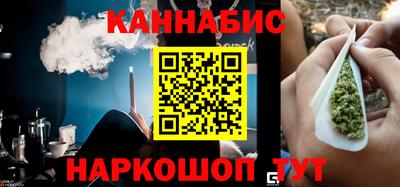 индика Бийск