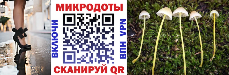 Галлюциногенные грибы ЛСД  закладки  Чайковский 