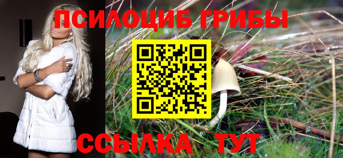 Галлюциногенные грибы ЛСД Чайковский
