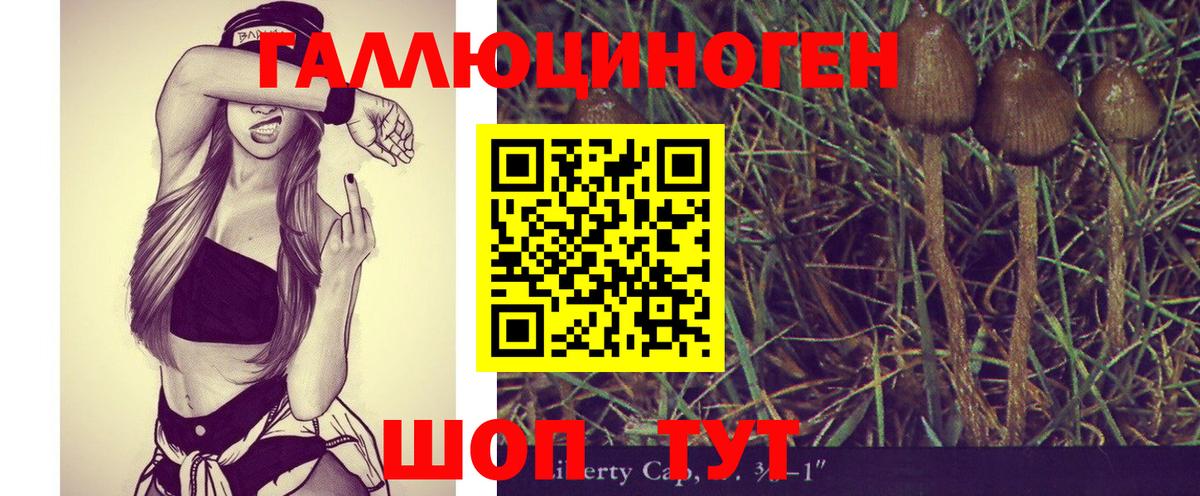 Галлюциногенные грибы мицелий Чайковский