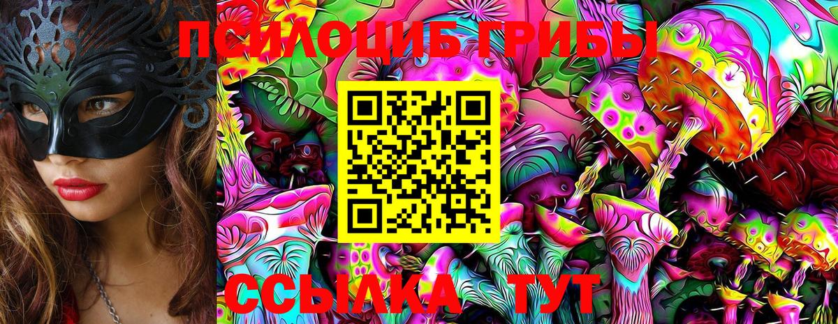 Псилоцибиновые грибы Psilocybe  Вход с VPN  Псилоцибиновые грибы GOLDEN TEACHER  Чайковский 